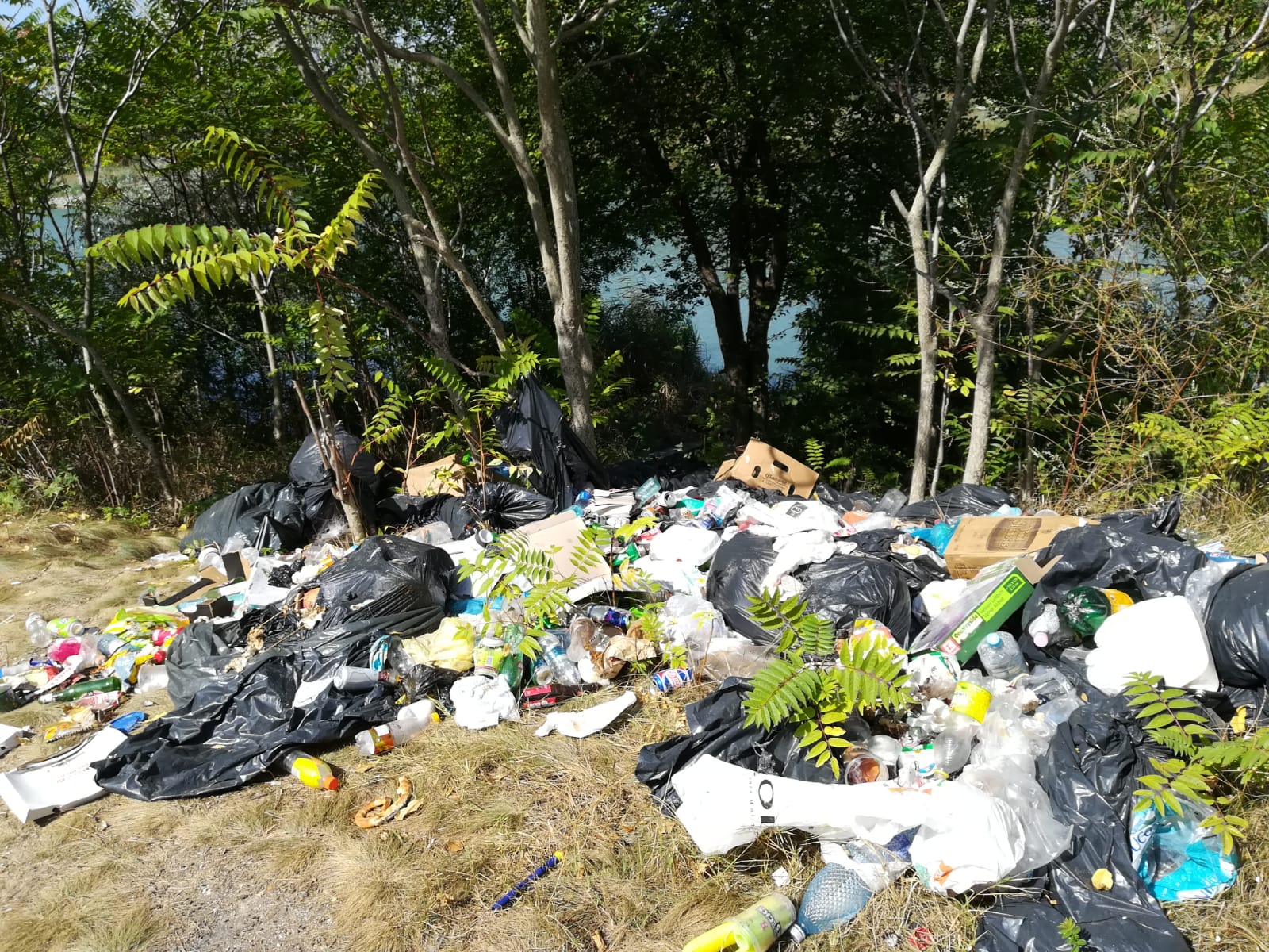 poza 2 poluare km 4 md CPAMN